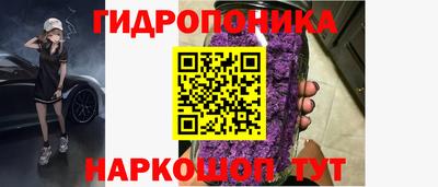 стафф Новодвинск