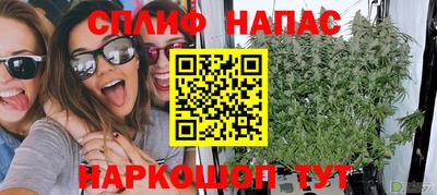 стафф Новодвинск