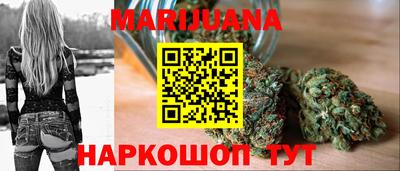 гашик Новозыбков