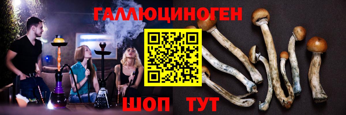 Урус-Мартан  Псилоцибиновые грибы Cubensis  Псилоцибиновые грибы ЛСД  Вход с VPN 